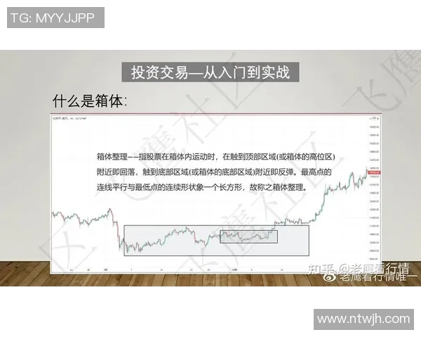 深入分析上海篮球队反击战术的关键要素与实战应用 深入分析上海篮球队反击战术的关键要素与实战应用